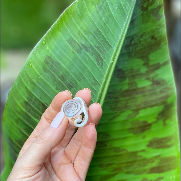 Seashell glazed ring - Picture 6 of 6